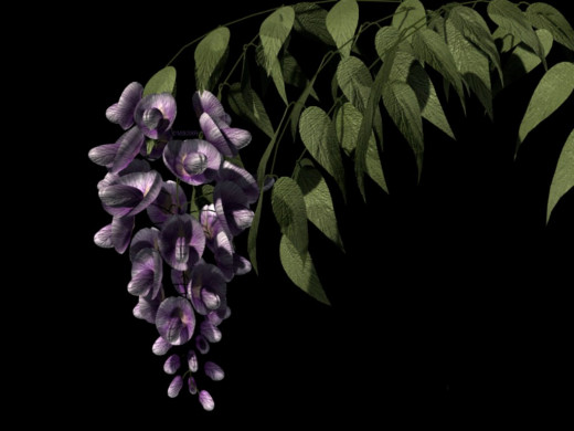 297779 (a): :1024x768